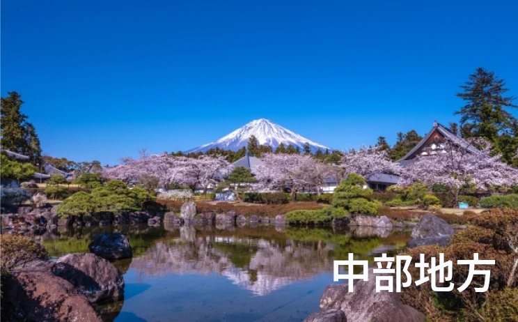 中部