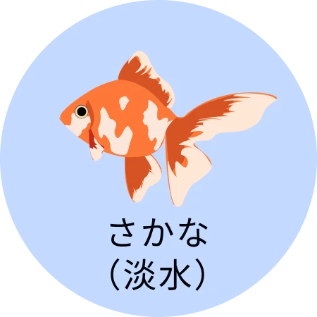 さかな(淡水)