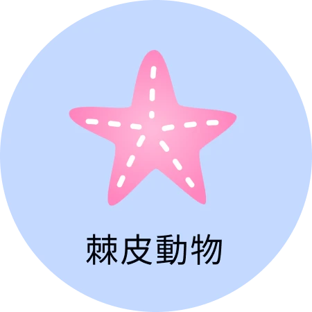 棘皮動物