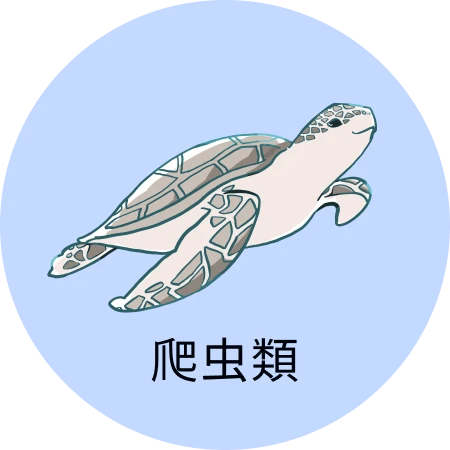爬虫類
