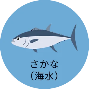 さかな（海水）