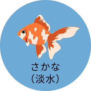 さかな（淡水）