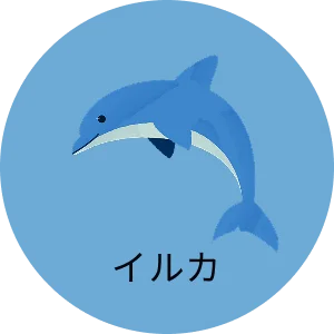 イルカ