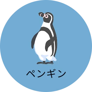 ペンギン
