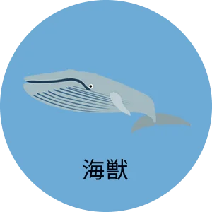 海獣