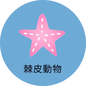 棘皮動物