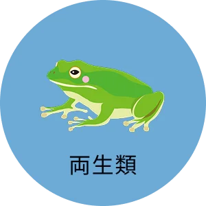 両生類
