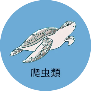 爬虫類