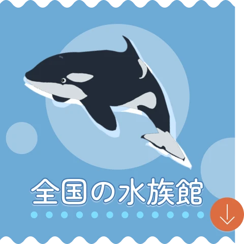 全国の水族館