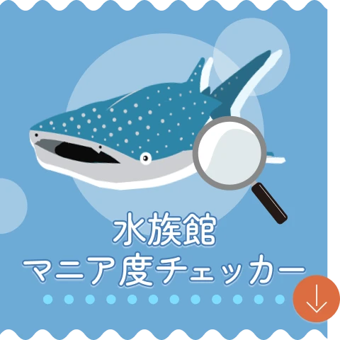 水族館マニア度チェッカー