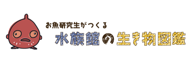 まれまれアクアリウム