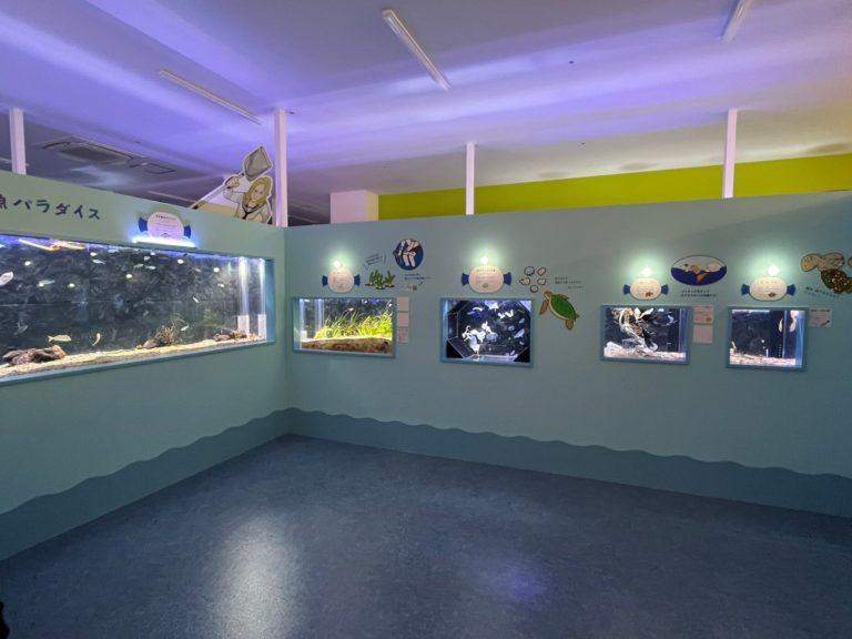 幼魚水族館