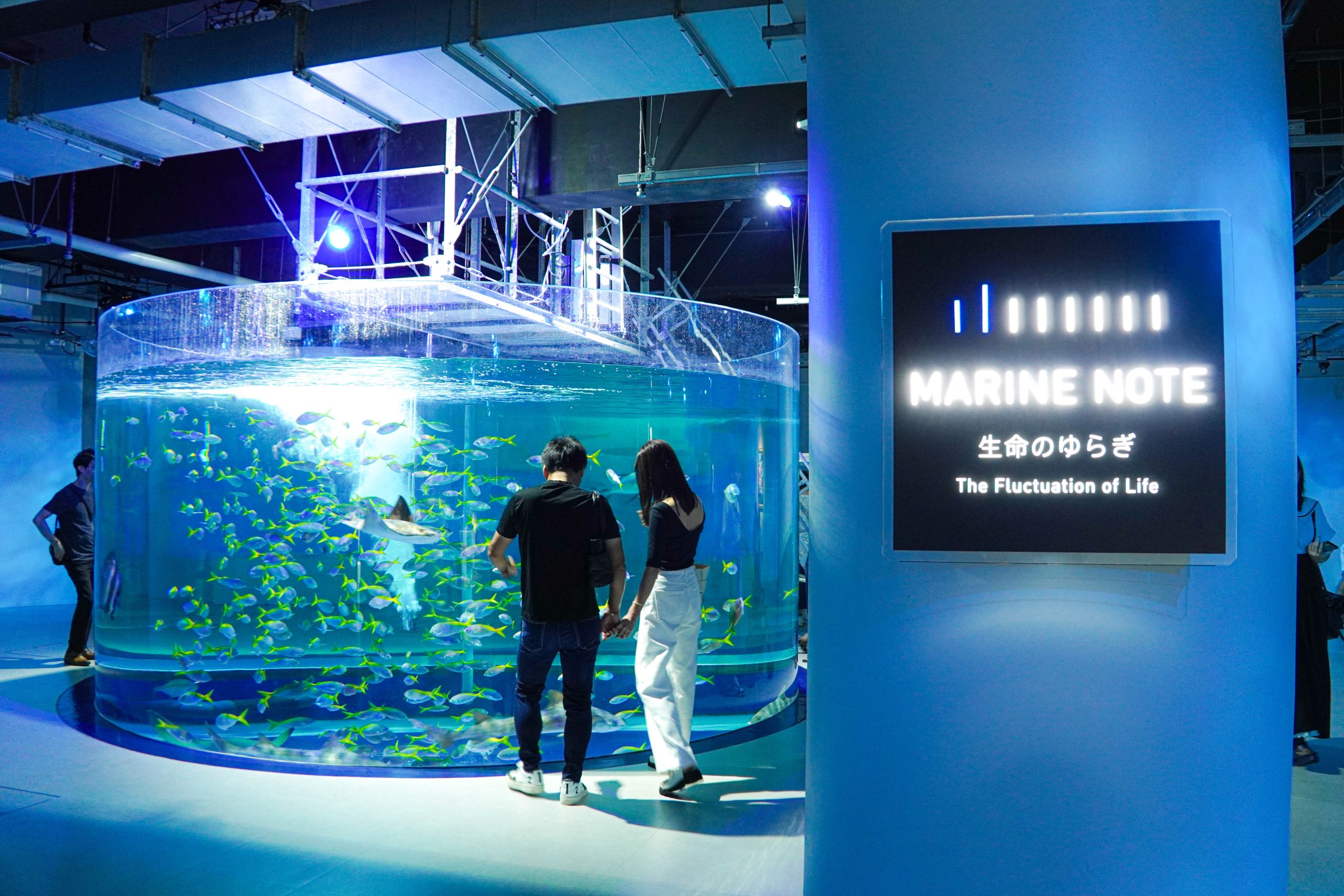 撮影にピッタリ!映えること間違いなしの水族館