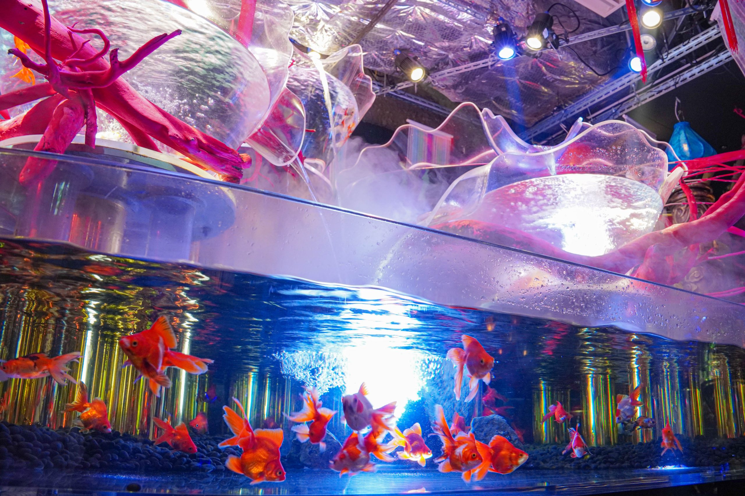 お台場水族館GYAO-29