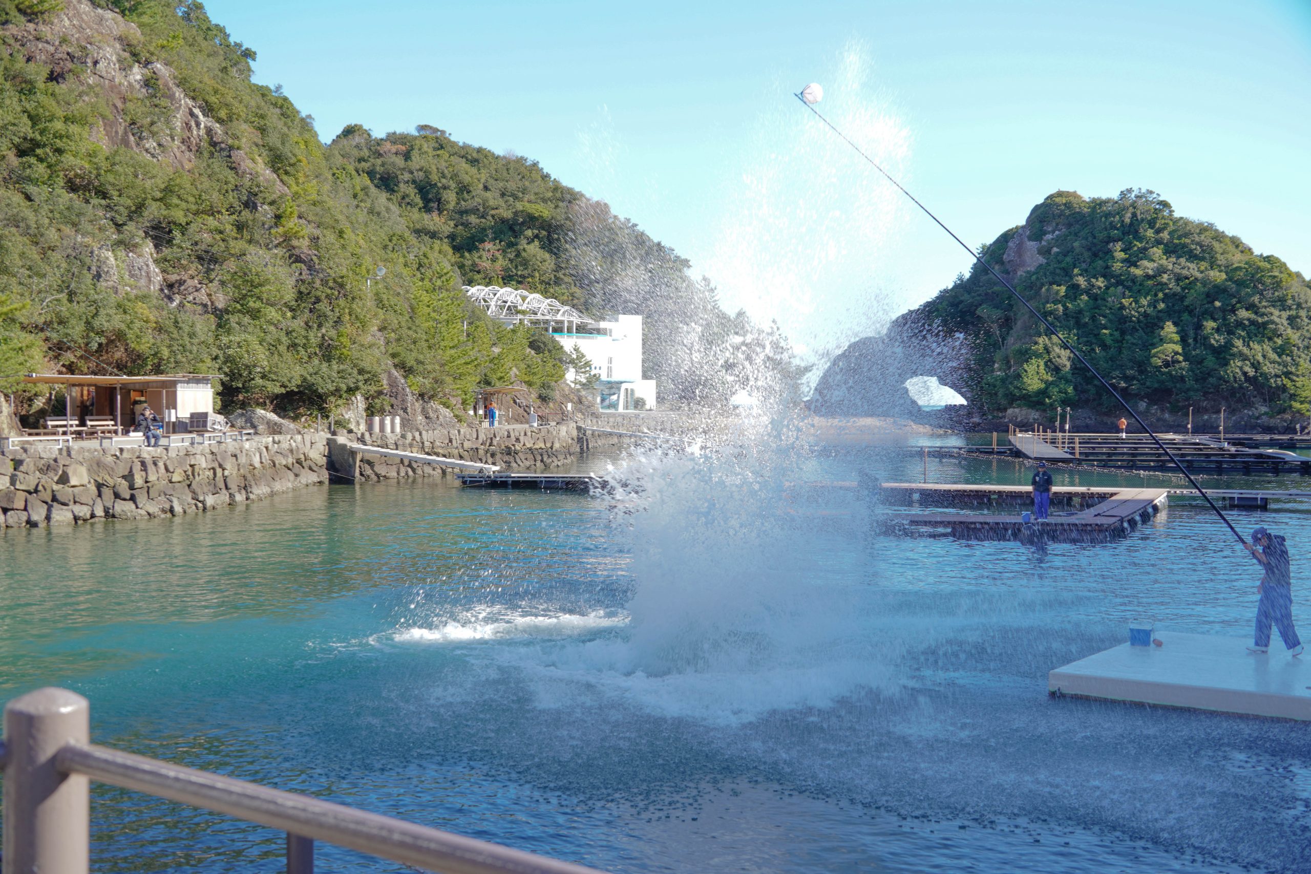 迫力満点のクジラショーがおすすめ
