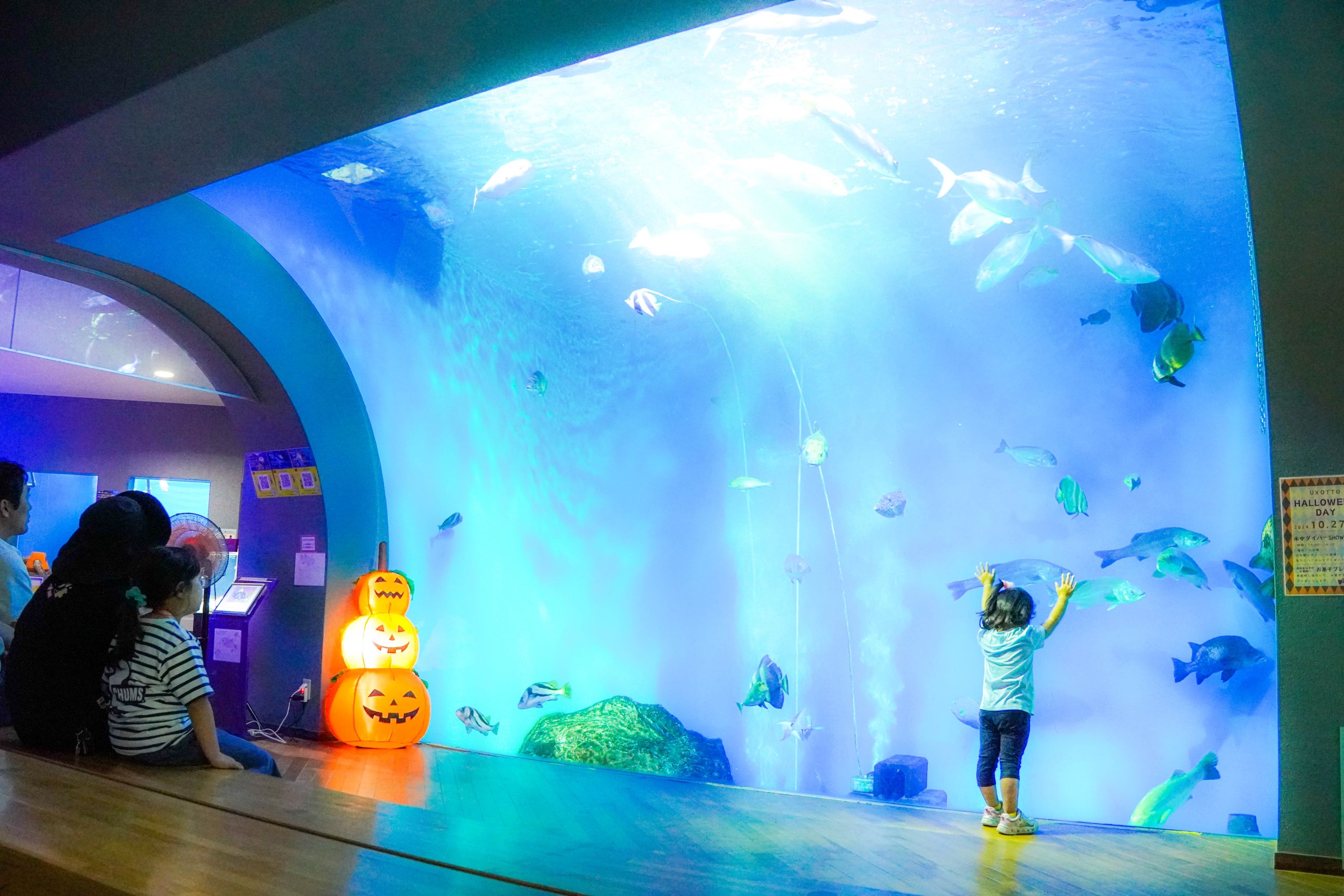 公営水族館なので入場料が安い！