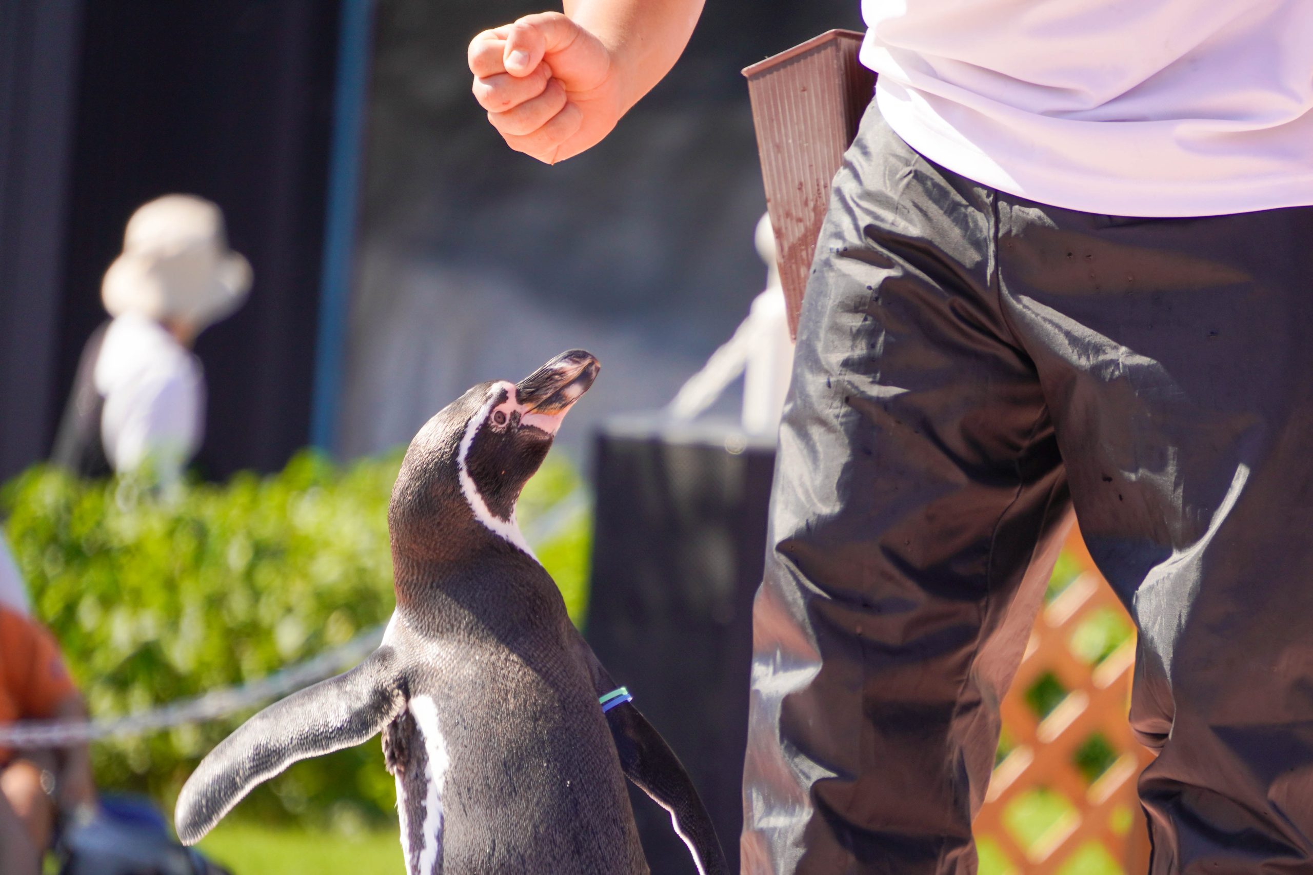 動物たちとの触れ合いは外せない