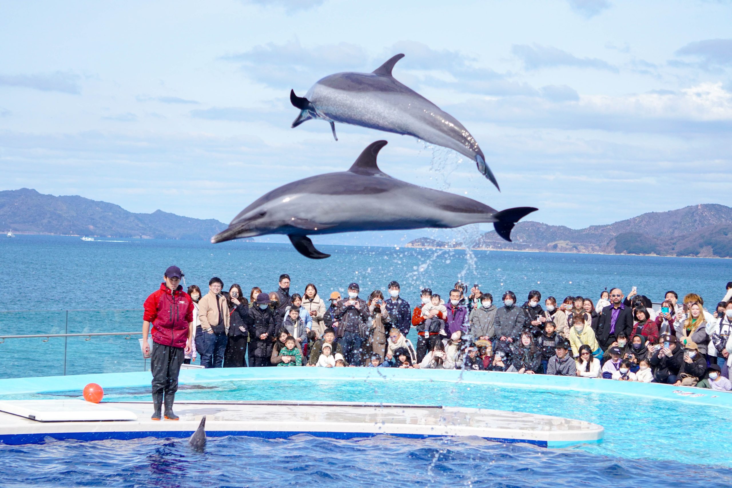 人気のイルカショーは早めの席取りがおすすめ!