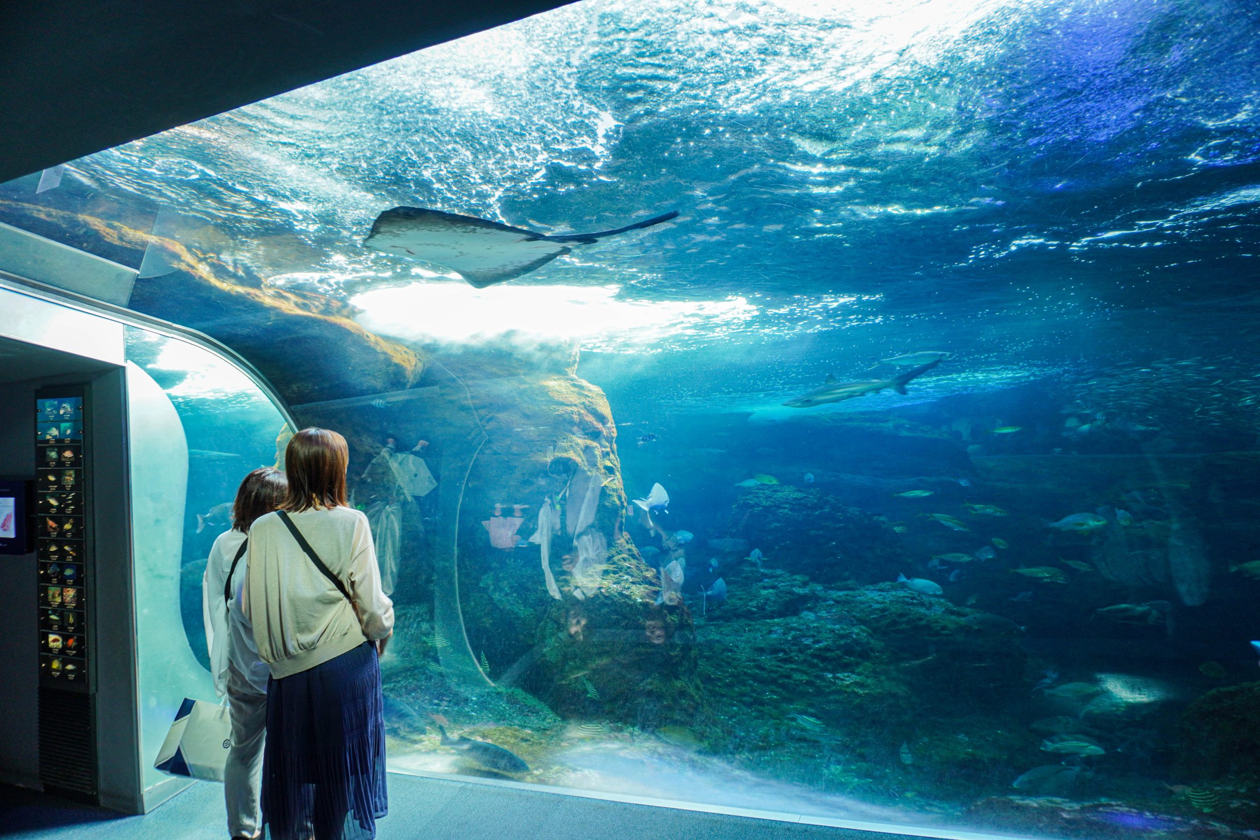 江の島水族館-29