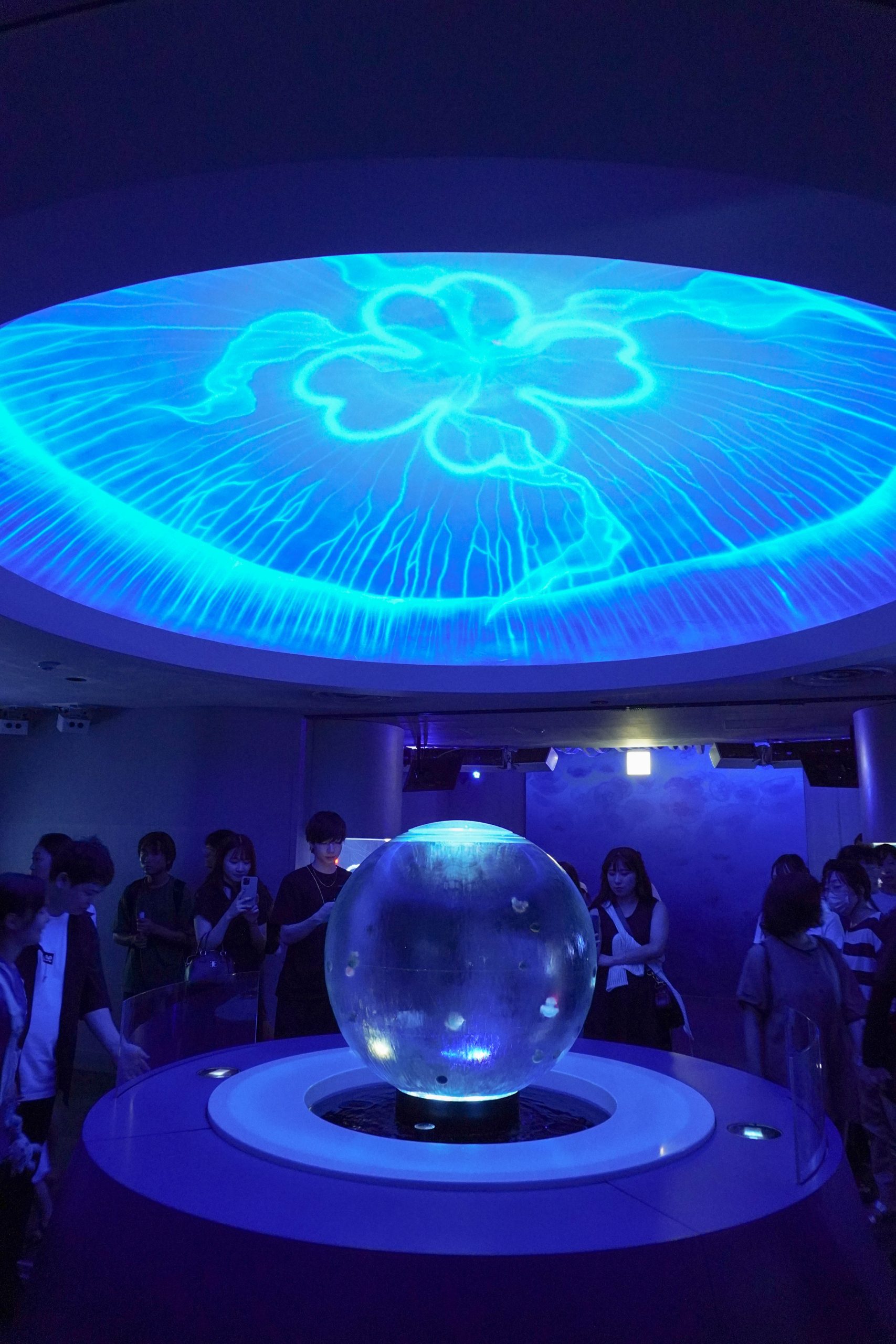 全国の中でも、絶対におすすめしたい水族館の一つ!