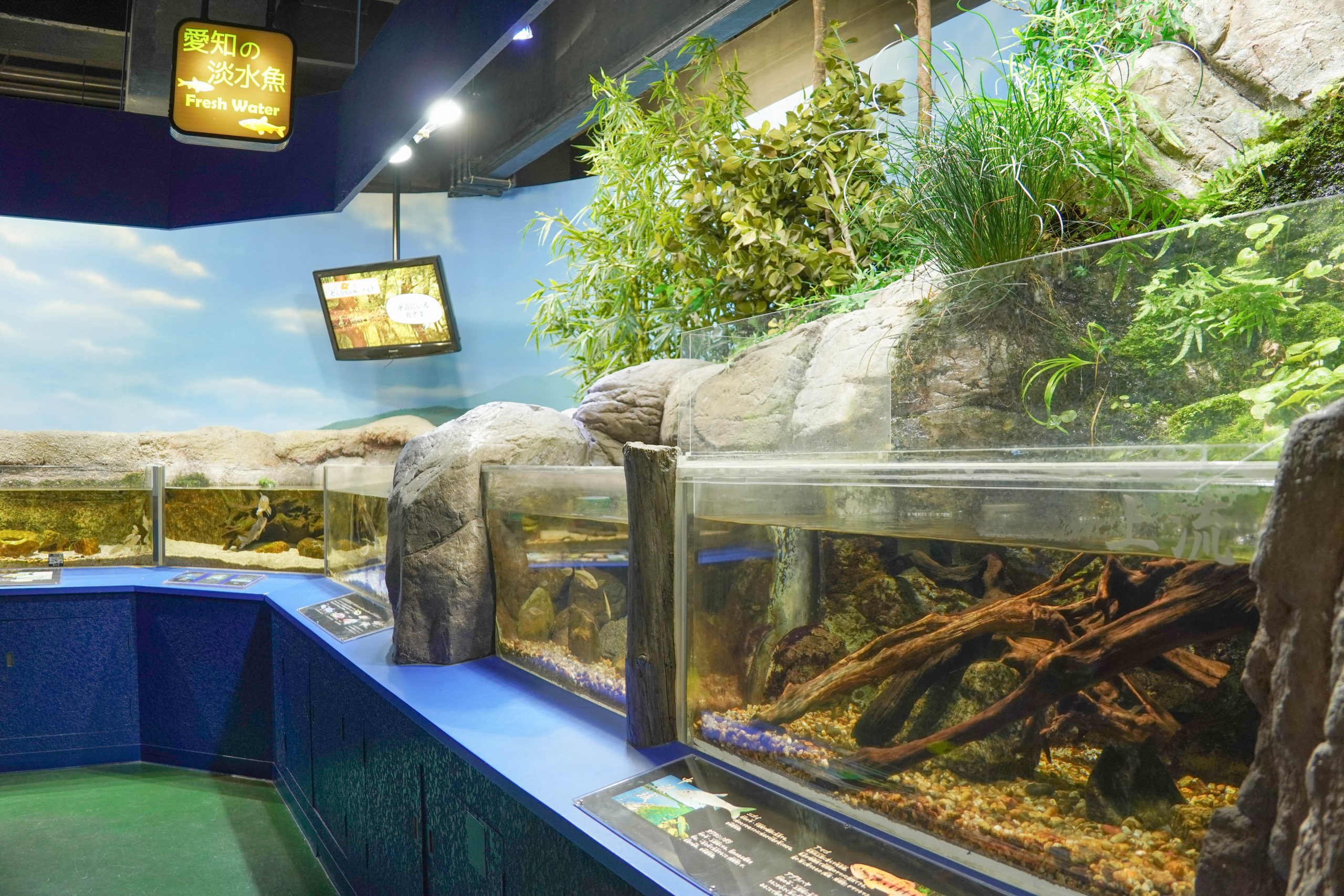 リニューアルで楽しみやすい館内に！