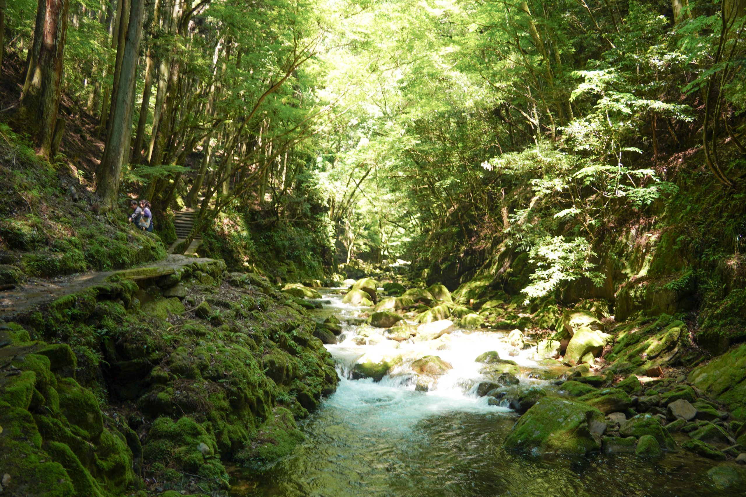 ほとんどの人は滝を見に来る