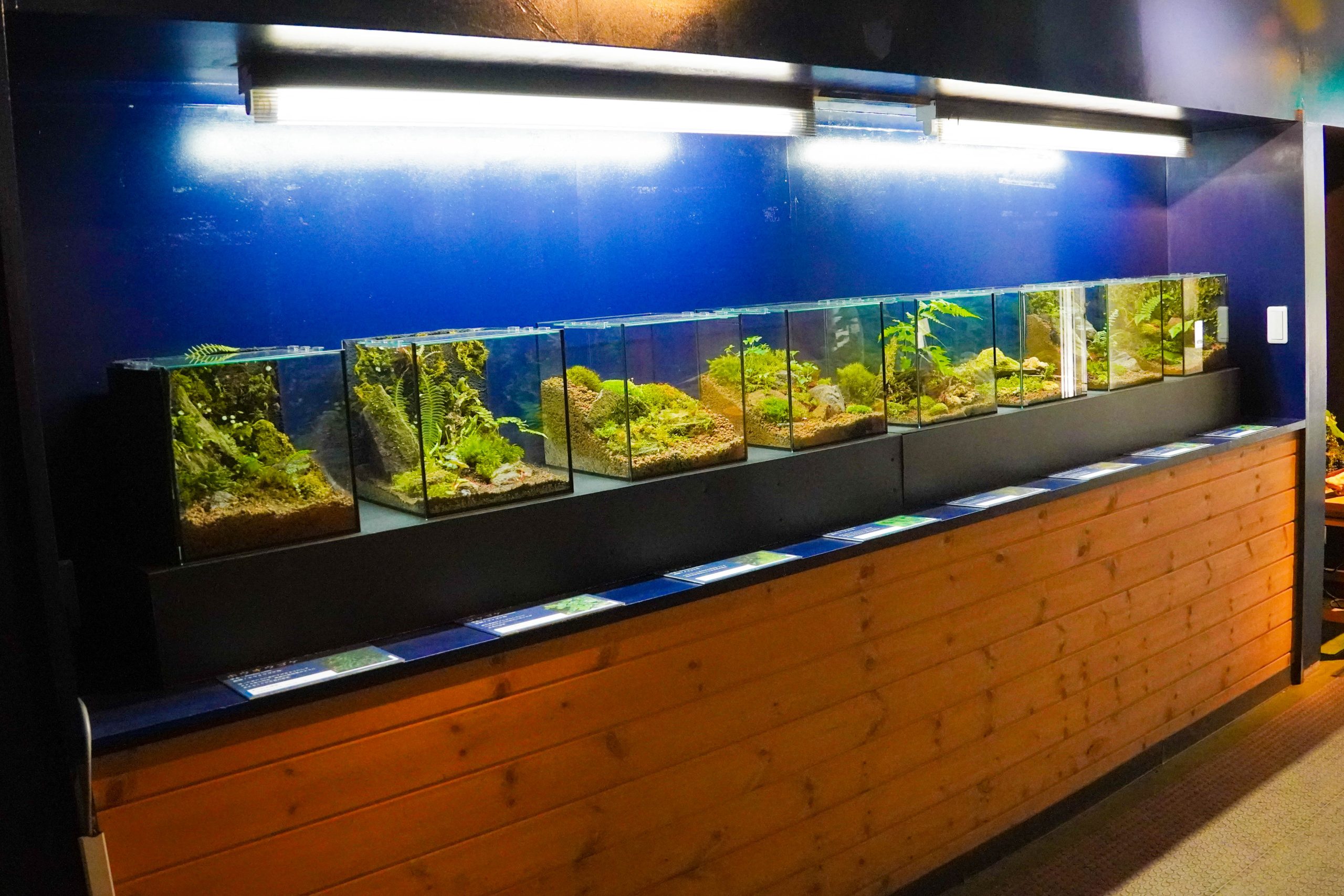 赤目滝水族館-6