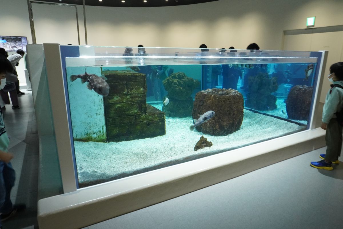間近で生き物を見られる！子供連れでも安心