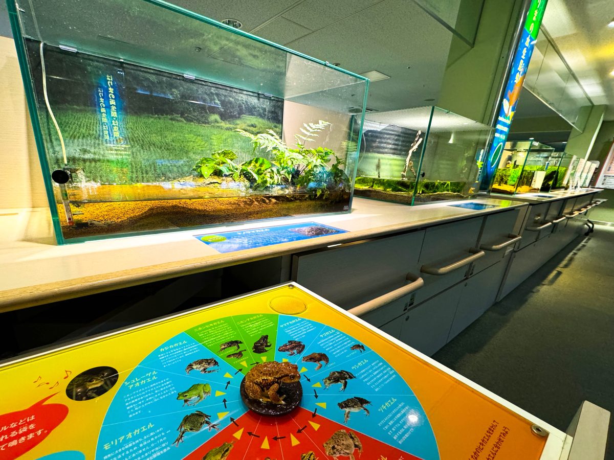 博物館のような展示がおすすめ！