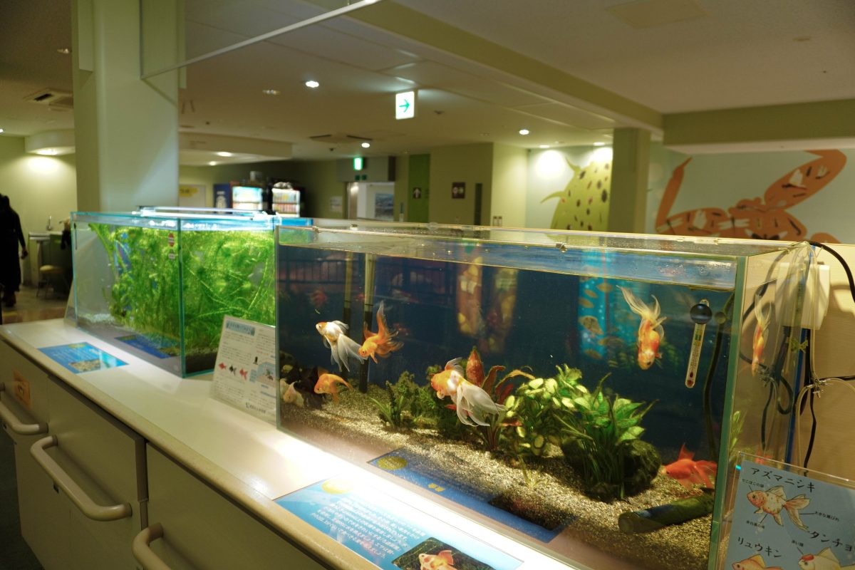 リーズナブルな料金が魅力！