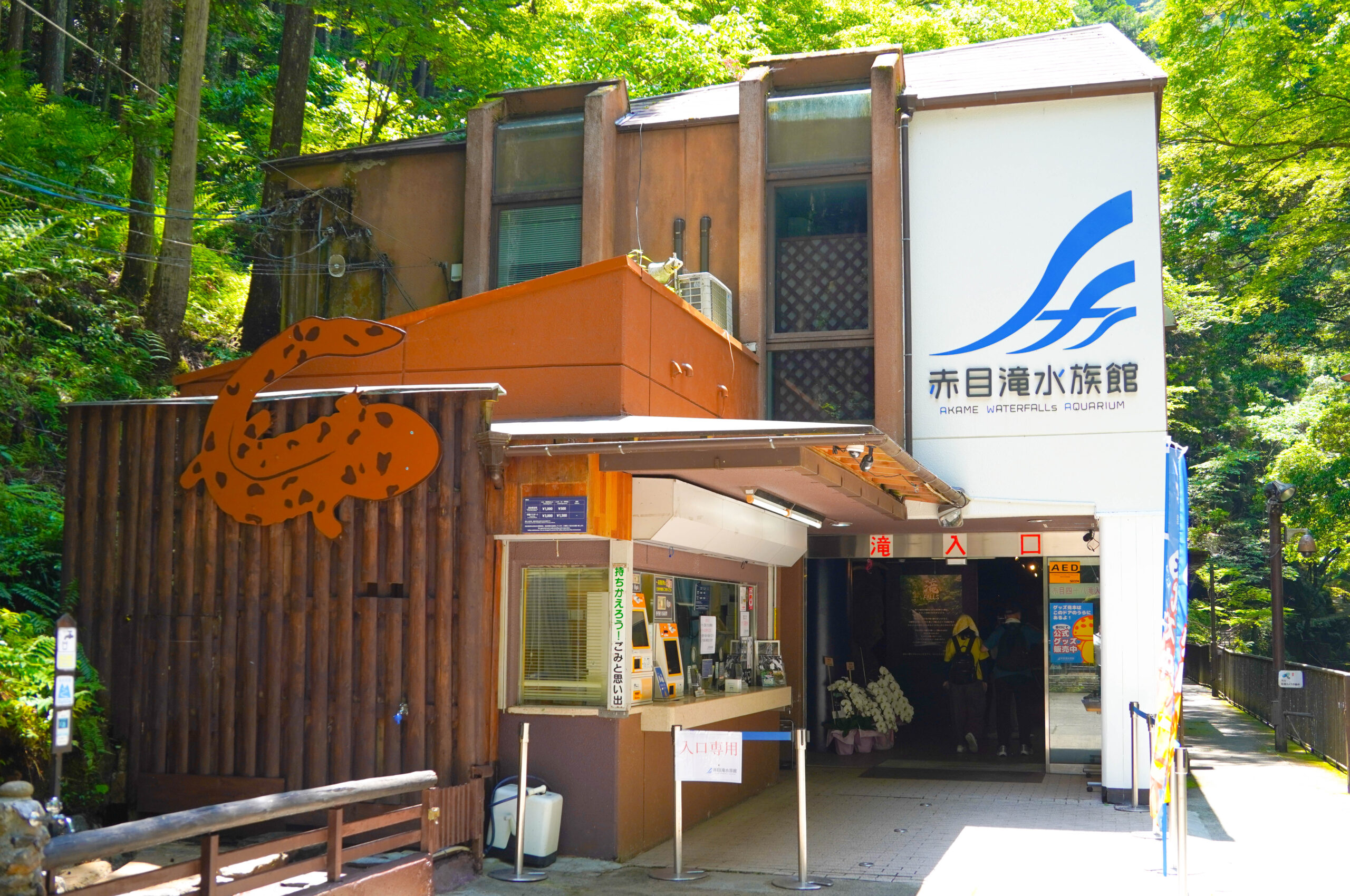 オオサンショウウオに出会うことができる